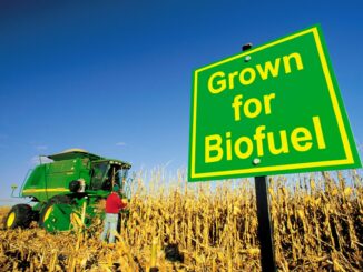 Biofuels