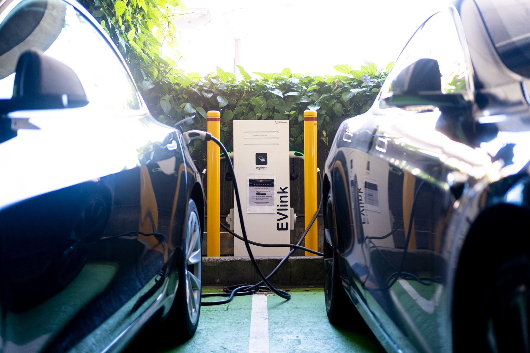 Parliamentary Friends of Electric Vehicles: