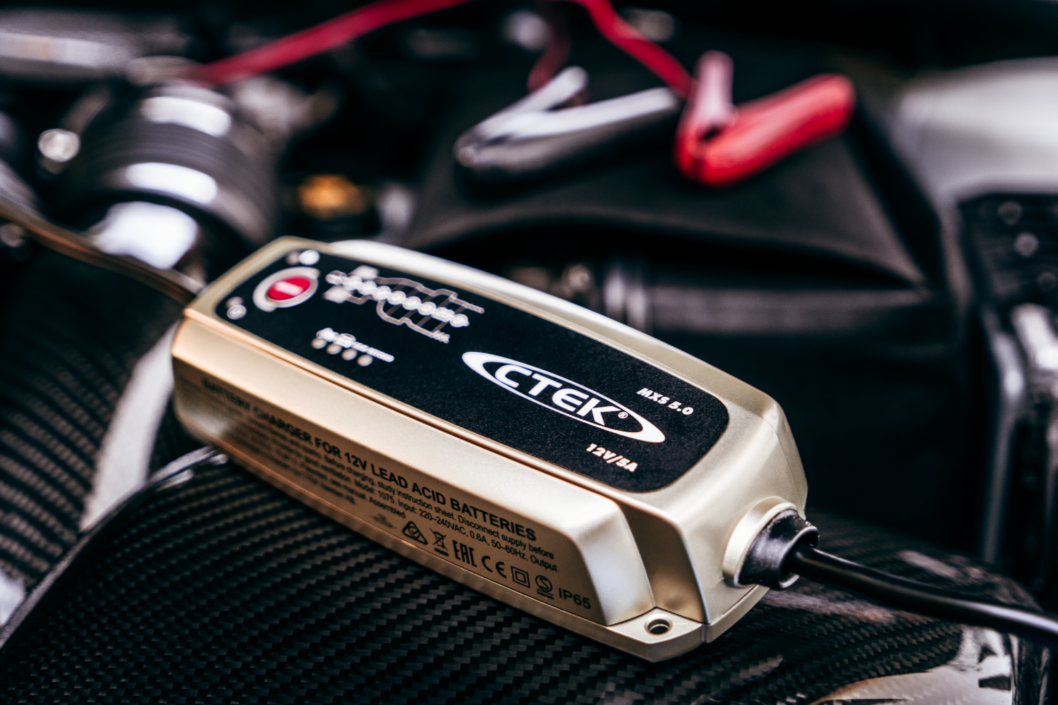 2025 Charge your car day - MXS5.0_2
