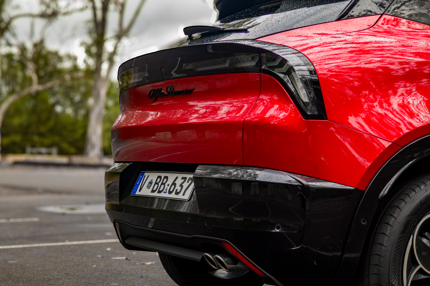 Sculpted rear quarter panel and smoked tail light cluster